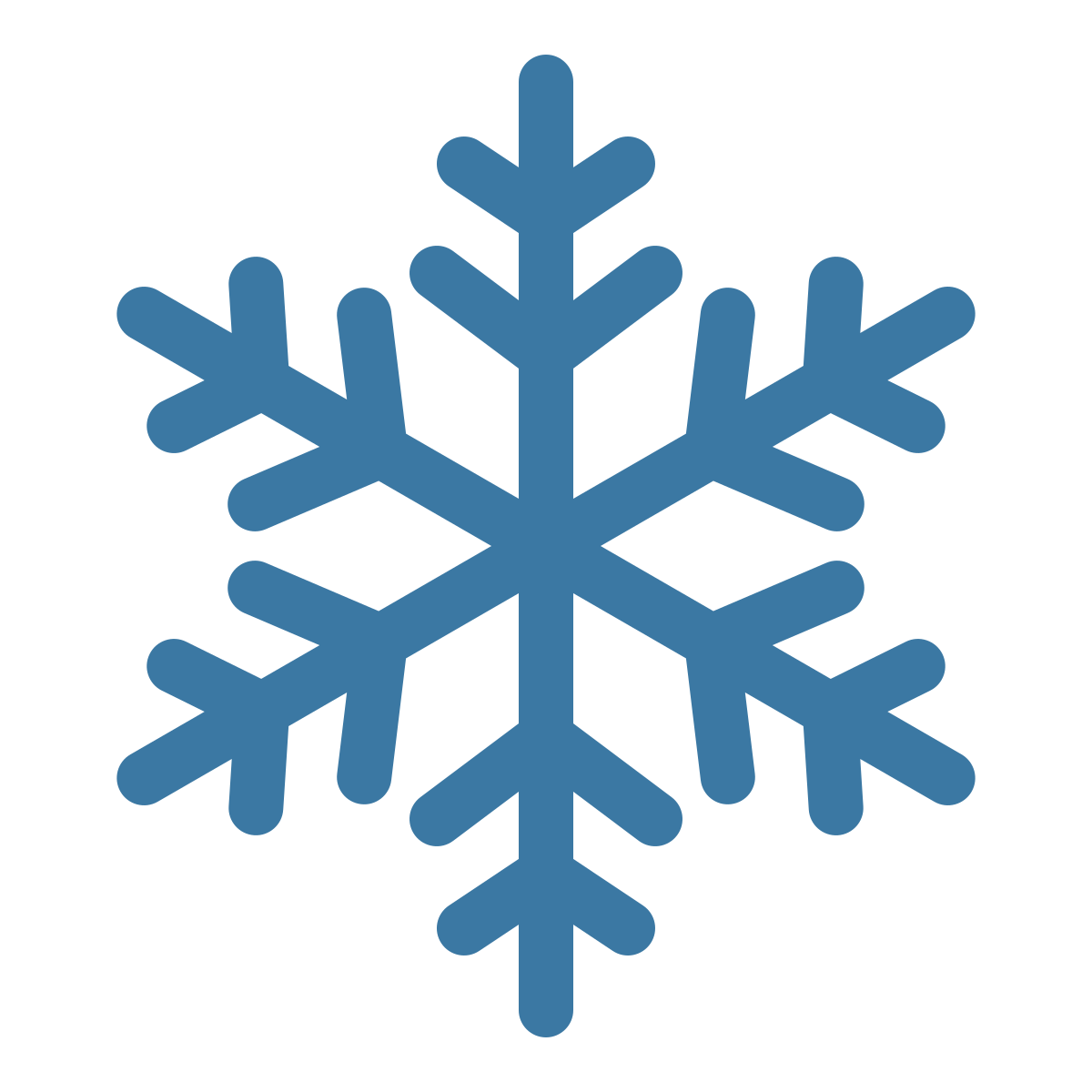 Refrigerated Service Icon